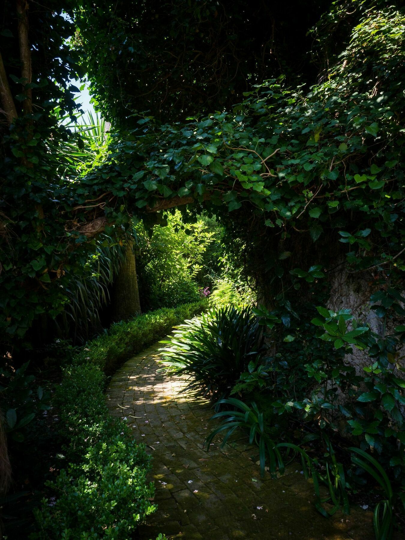 Villa Domenicale Ágios Márkos Extérieur photo